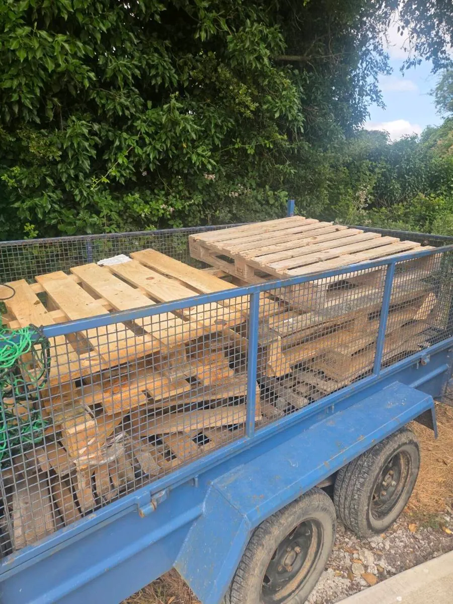 Free Pallets - Image 1
