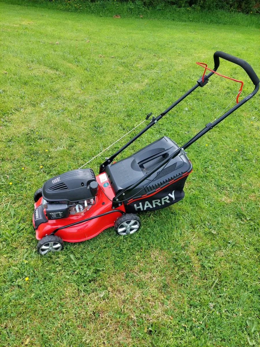 lawnmower - Image 1