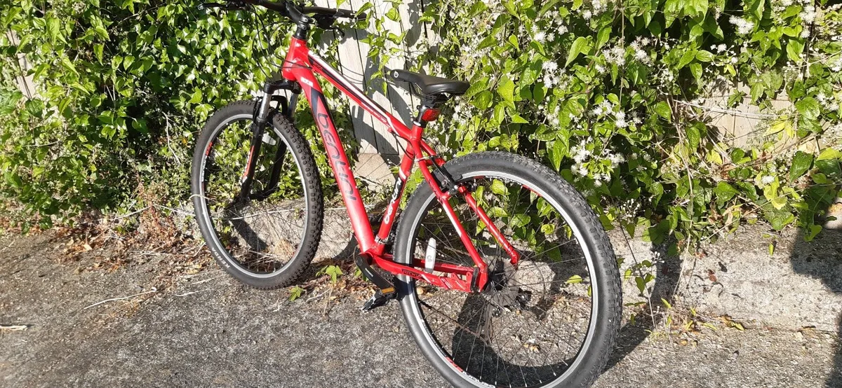 Bicycle - Image 1