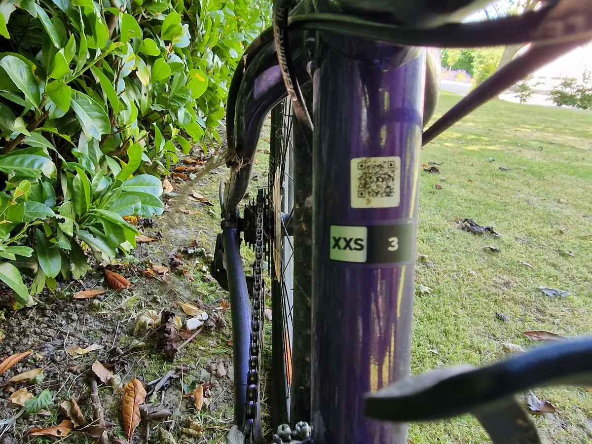 Giant Bicycles - Image 2
