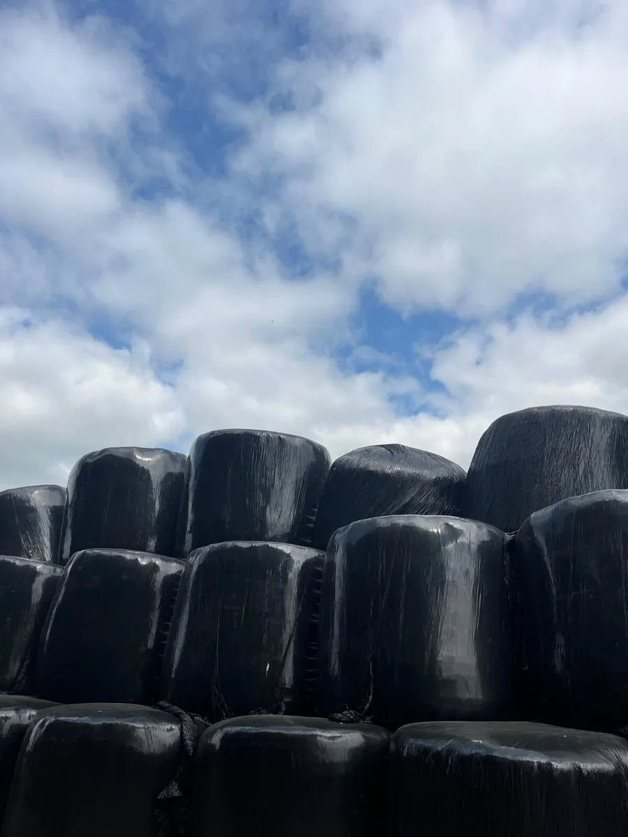 Round Silage Bales - Image 2