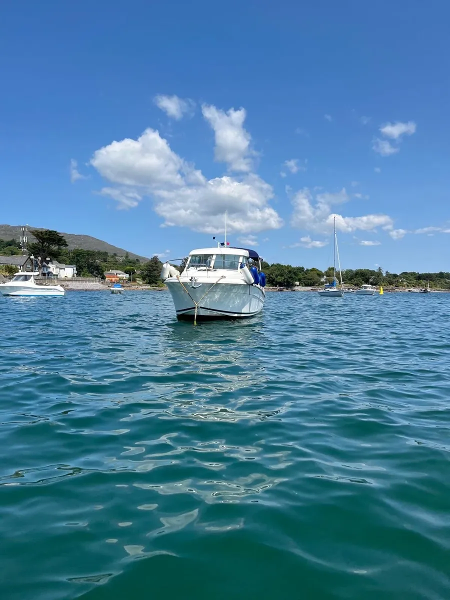 Merry Fisher 655 - Image 3