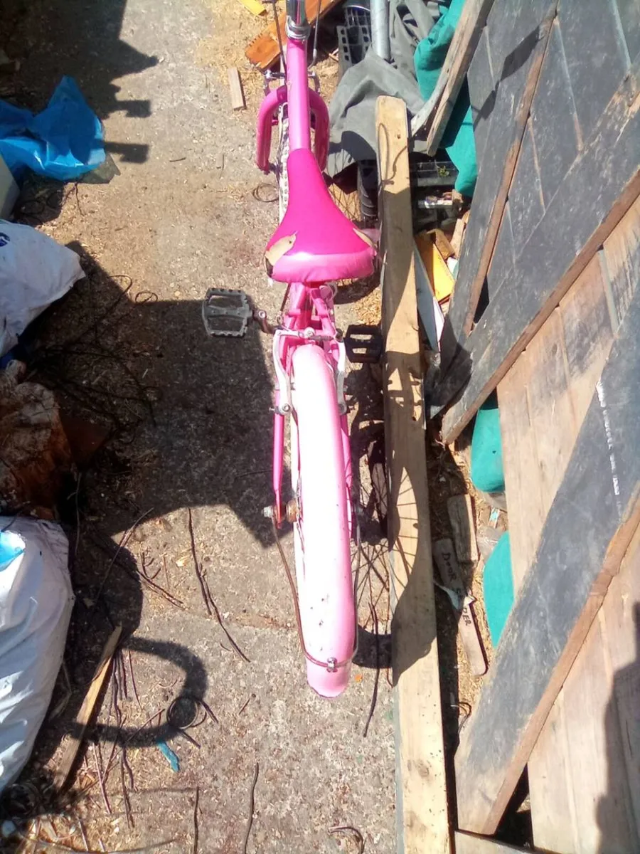 Child.  Bike - Image 1