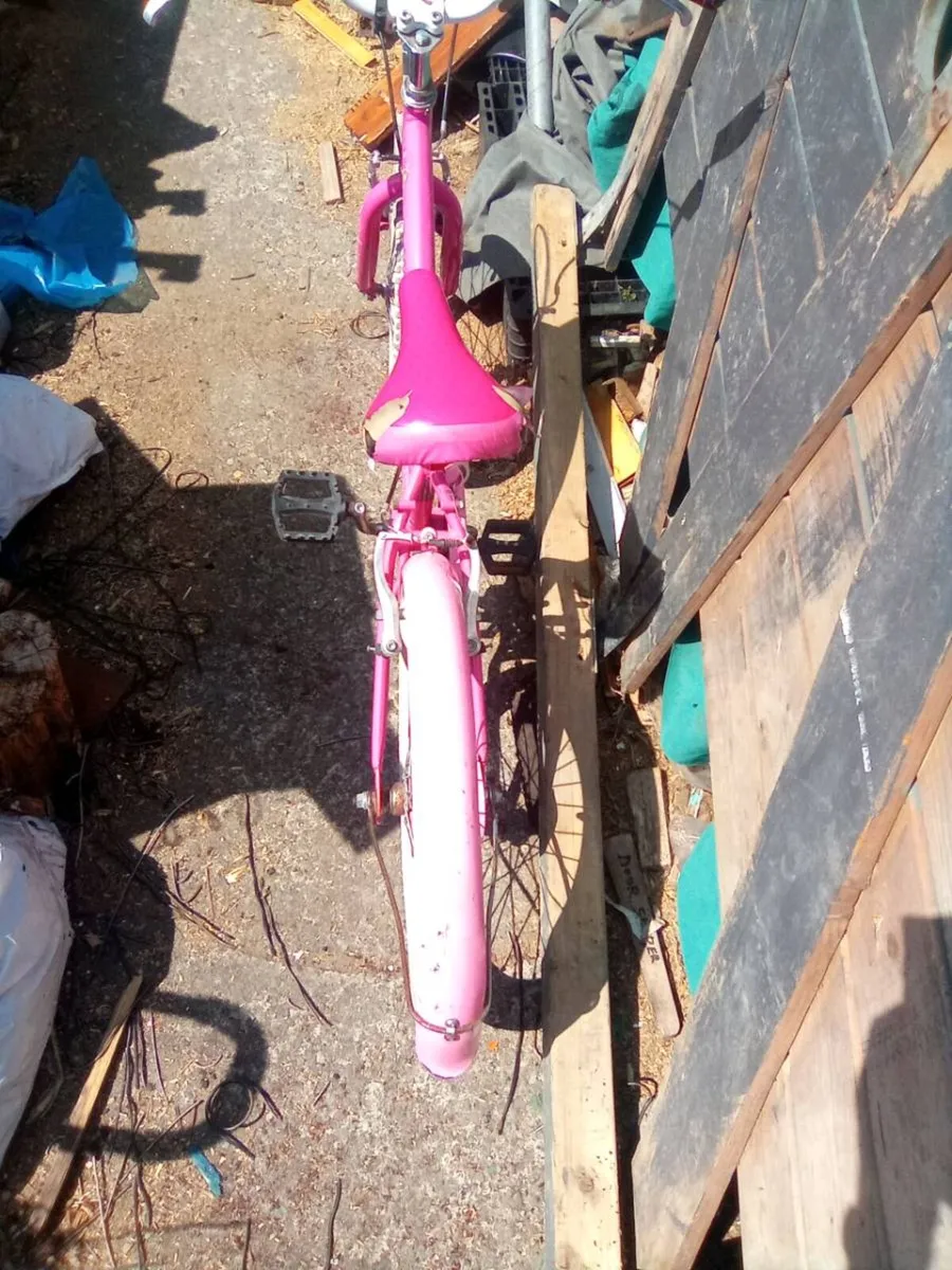 Child.  Bike - Image 2