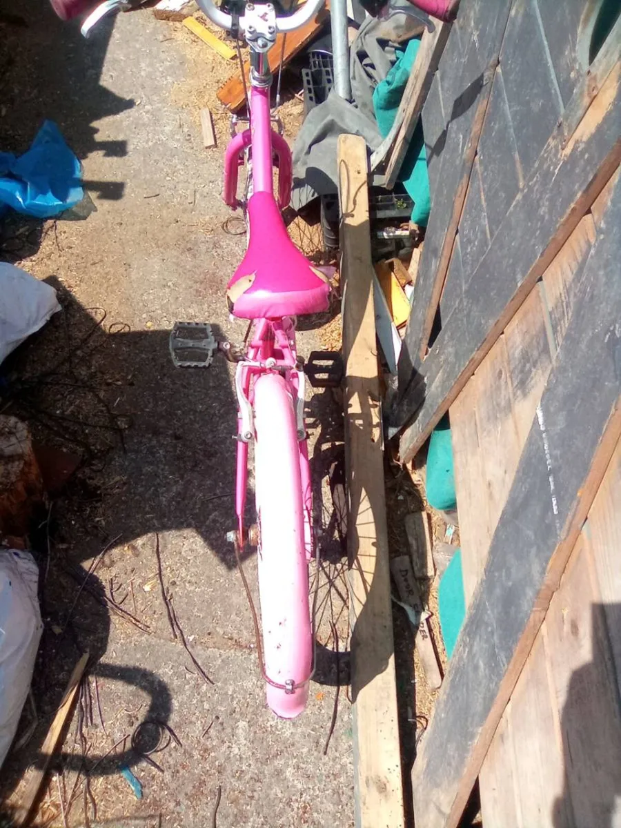 Child.  Bike - Image 4