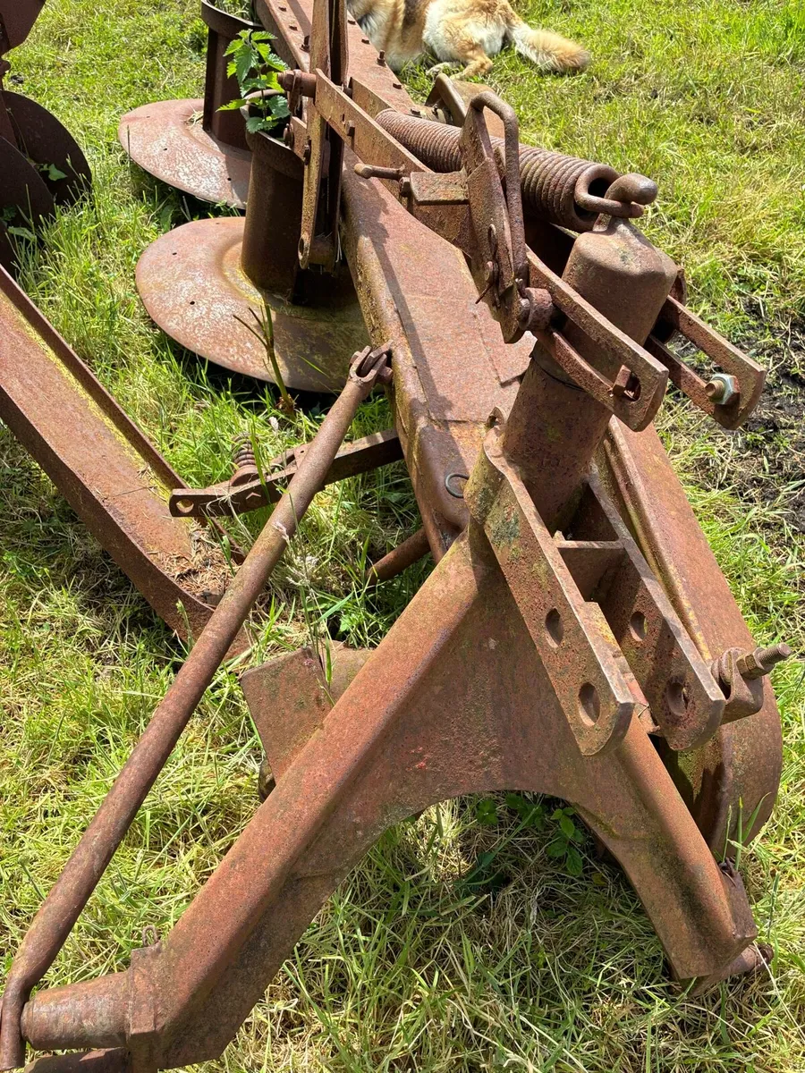 Rotary mowers - Image 4