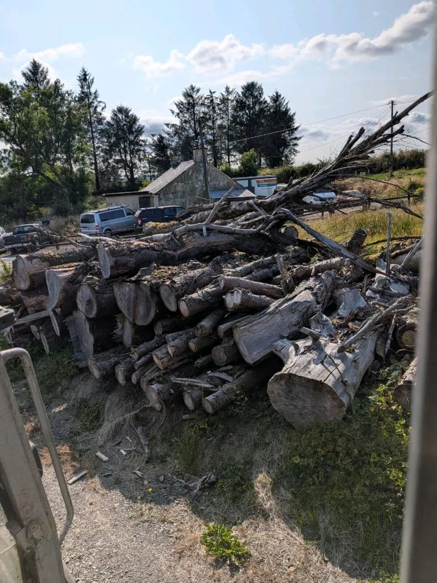 Timber - Image 1