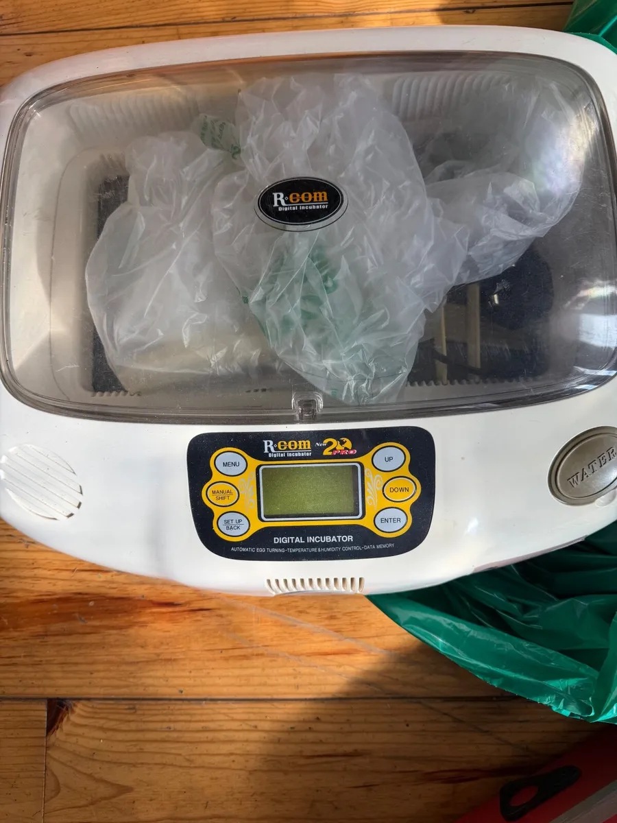 Egg incubator - Image 3