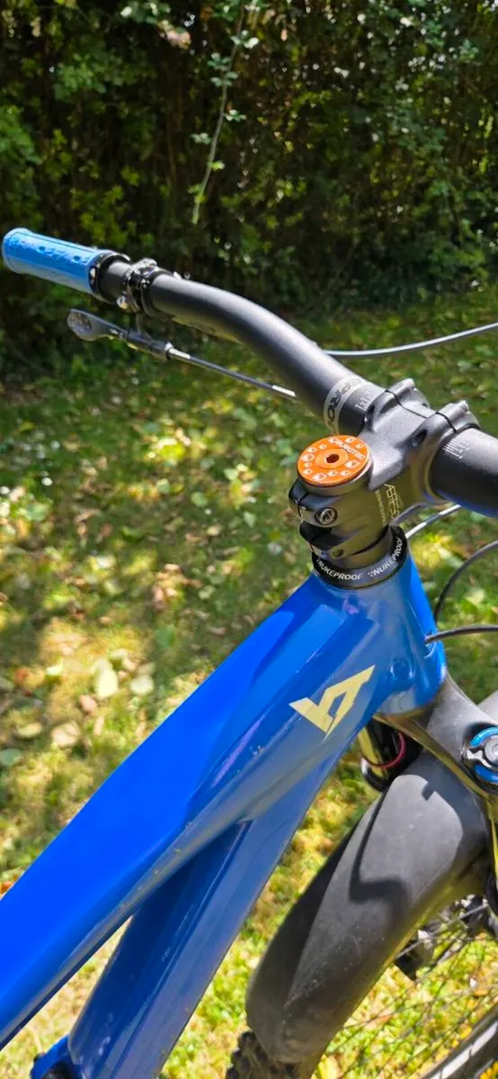 MTB 2021 YT Capra 29 L-size - Image 4