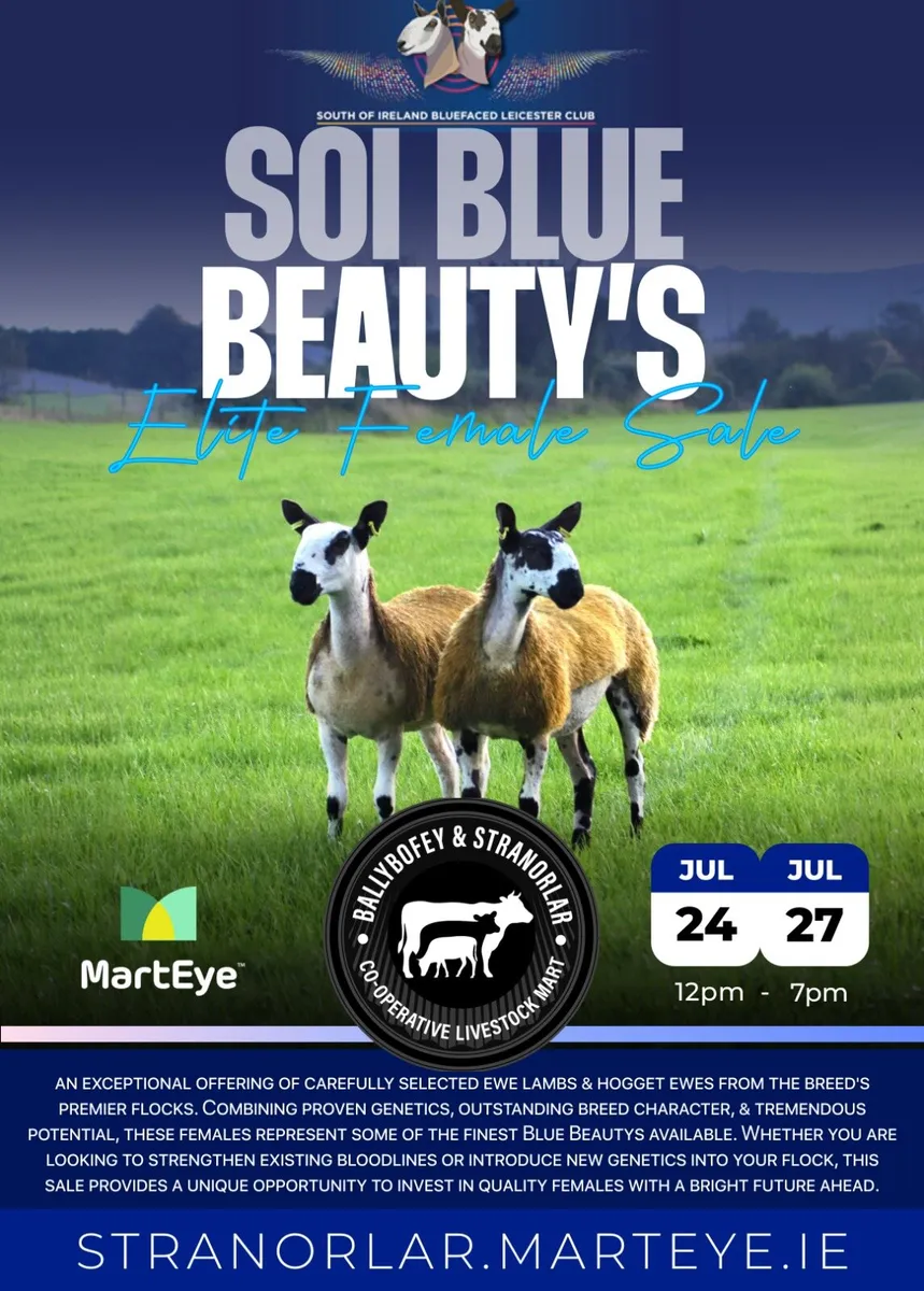 🌟 SOI Blue Beauty's Elite Female Sale 🌟