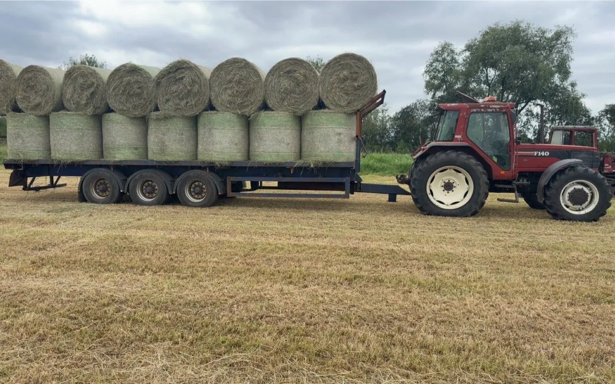 Top quality Hay - Image 3