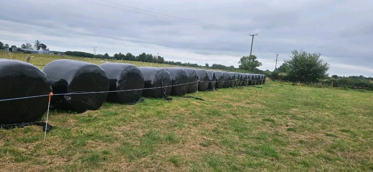 Haylage - Image 2