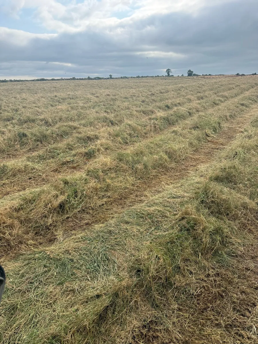 WANTED: Fencing contractor