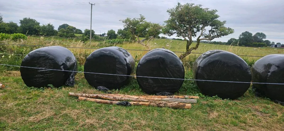Haylage - Image 3