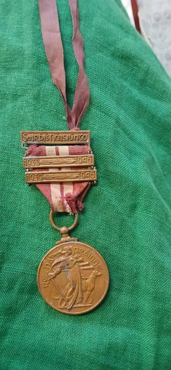 Irish Service Medal - Image 1