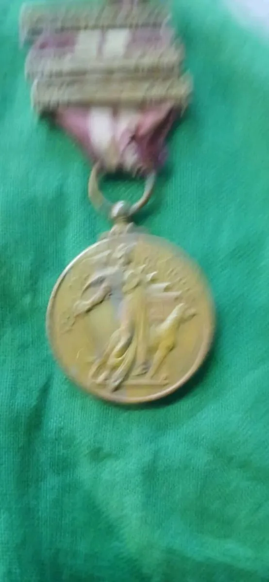 Irish Service Medal - Image 3
