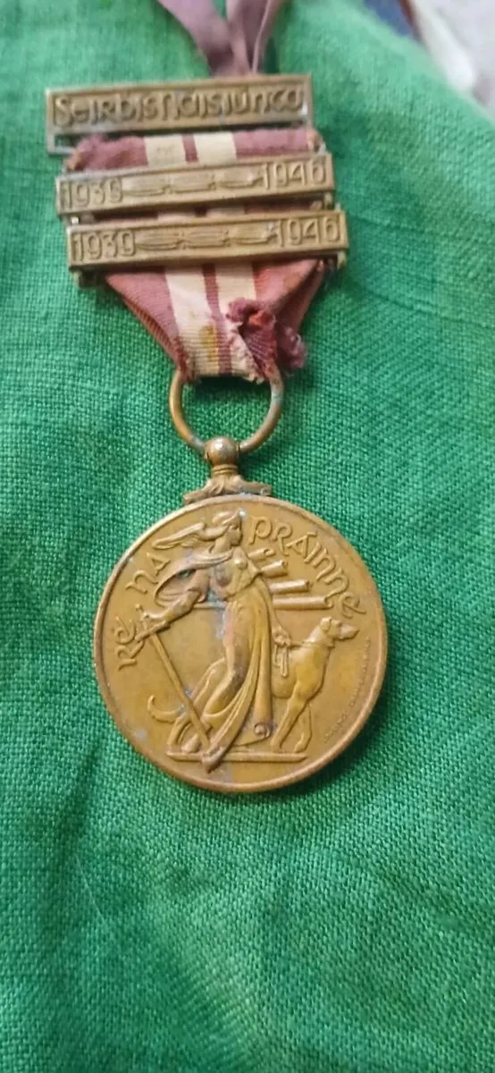 Irish Service Medal - Image 4