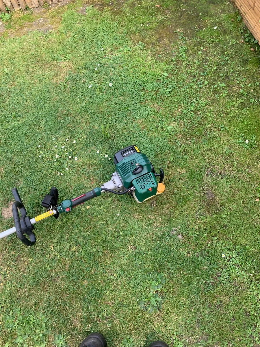 Strimmer - Image 3
