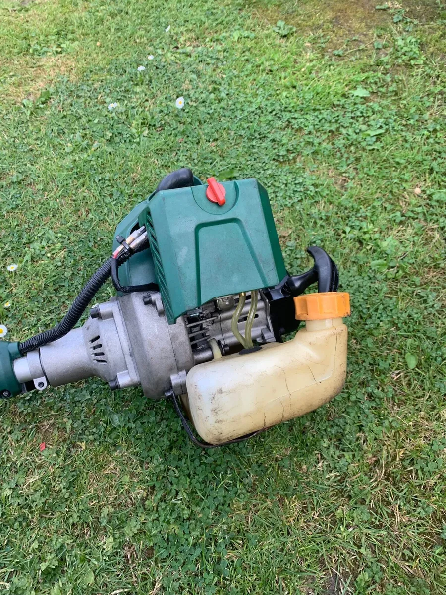 Strimmer - Image 1