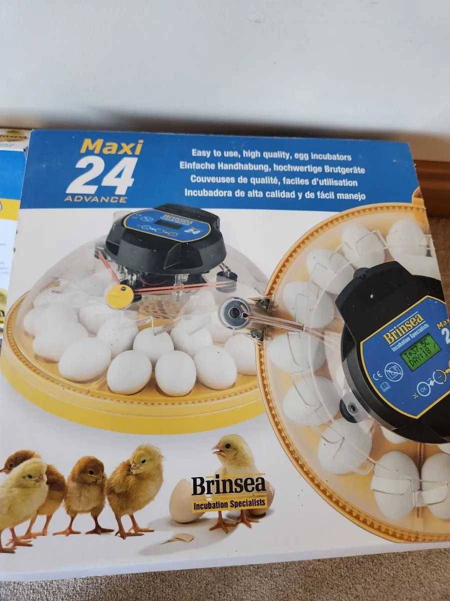 24 egg Incubator - Image 4