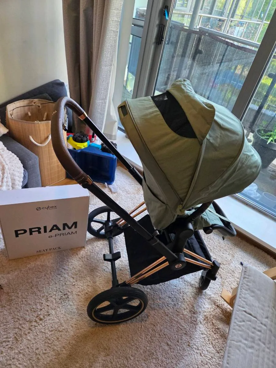 Cybex Priam Rose Gold and Leaf Green Seat - Image 1