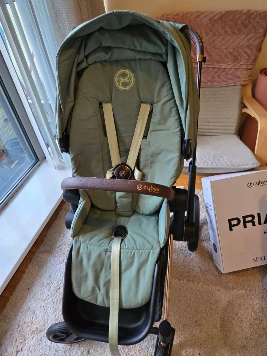 Cybex Priam Rose Gold and Leaf Green Seat - Image 3