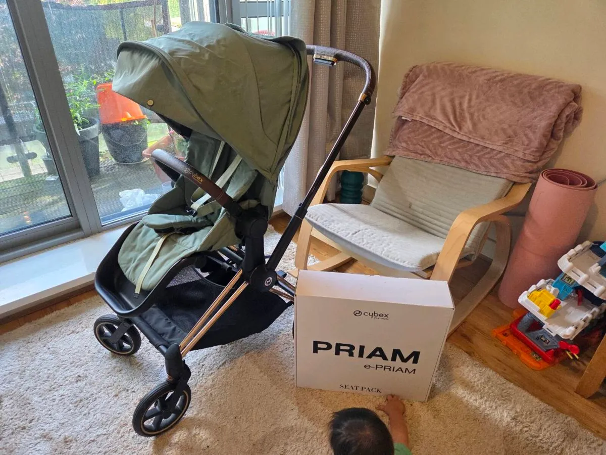 Cybex Priam Rose Gold and Leaf Green Seat - Image 4
