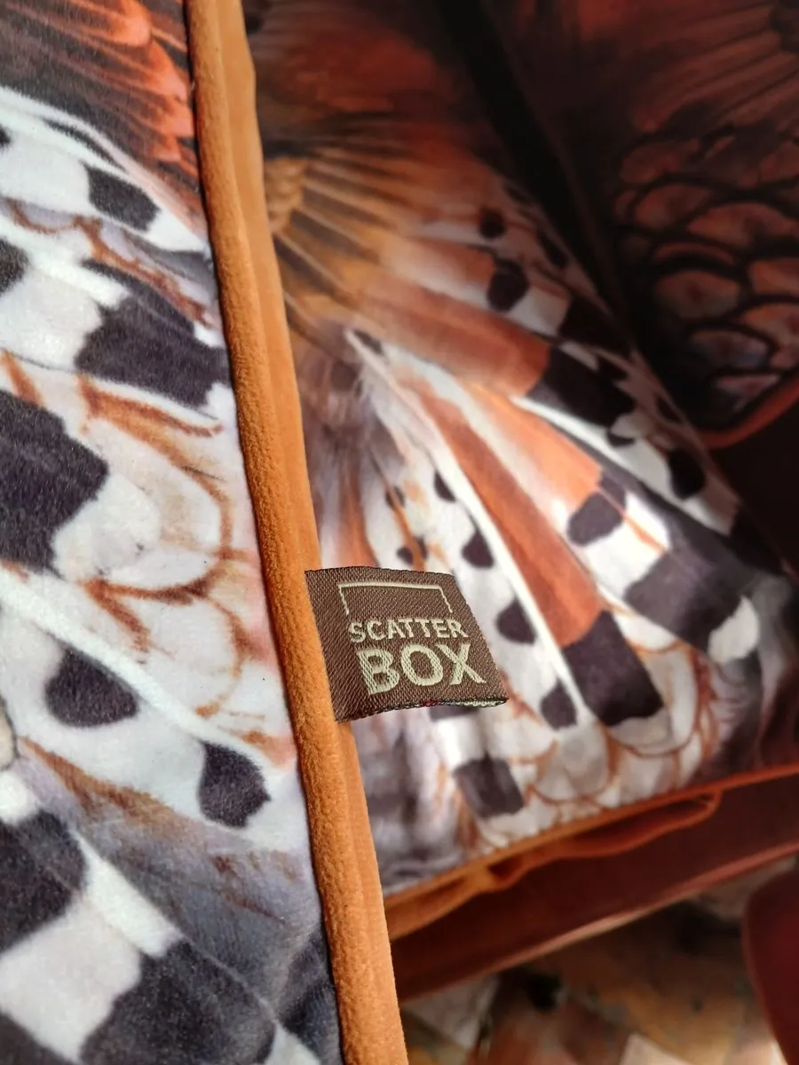 Cushions - Image 1