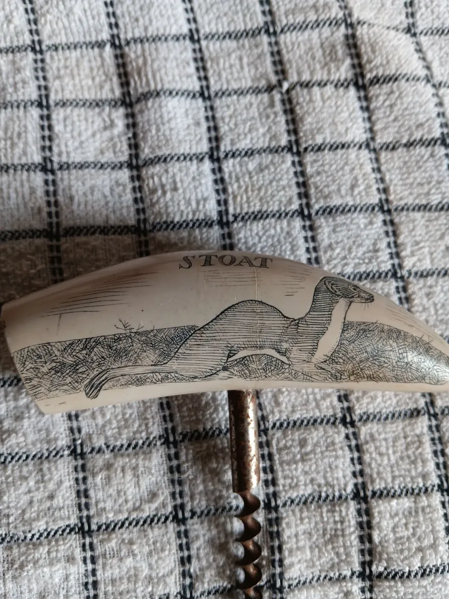 Antique scrimshaw - Image 4