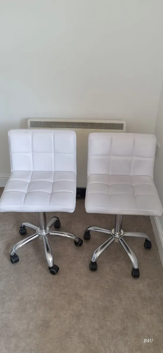 Beauty Chairs