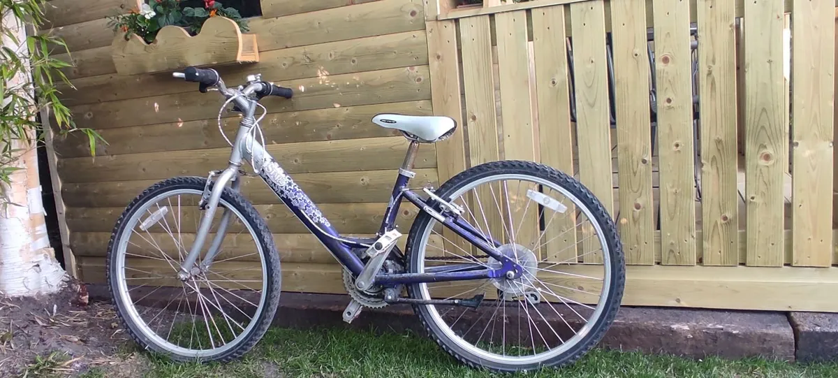 Adults / children Bicycles in excellent condition - Image 2