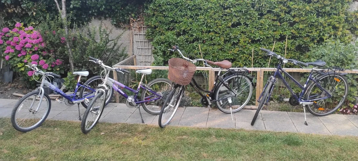 Adults / children Bicycles in excellent condition - Image 1