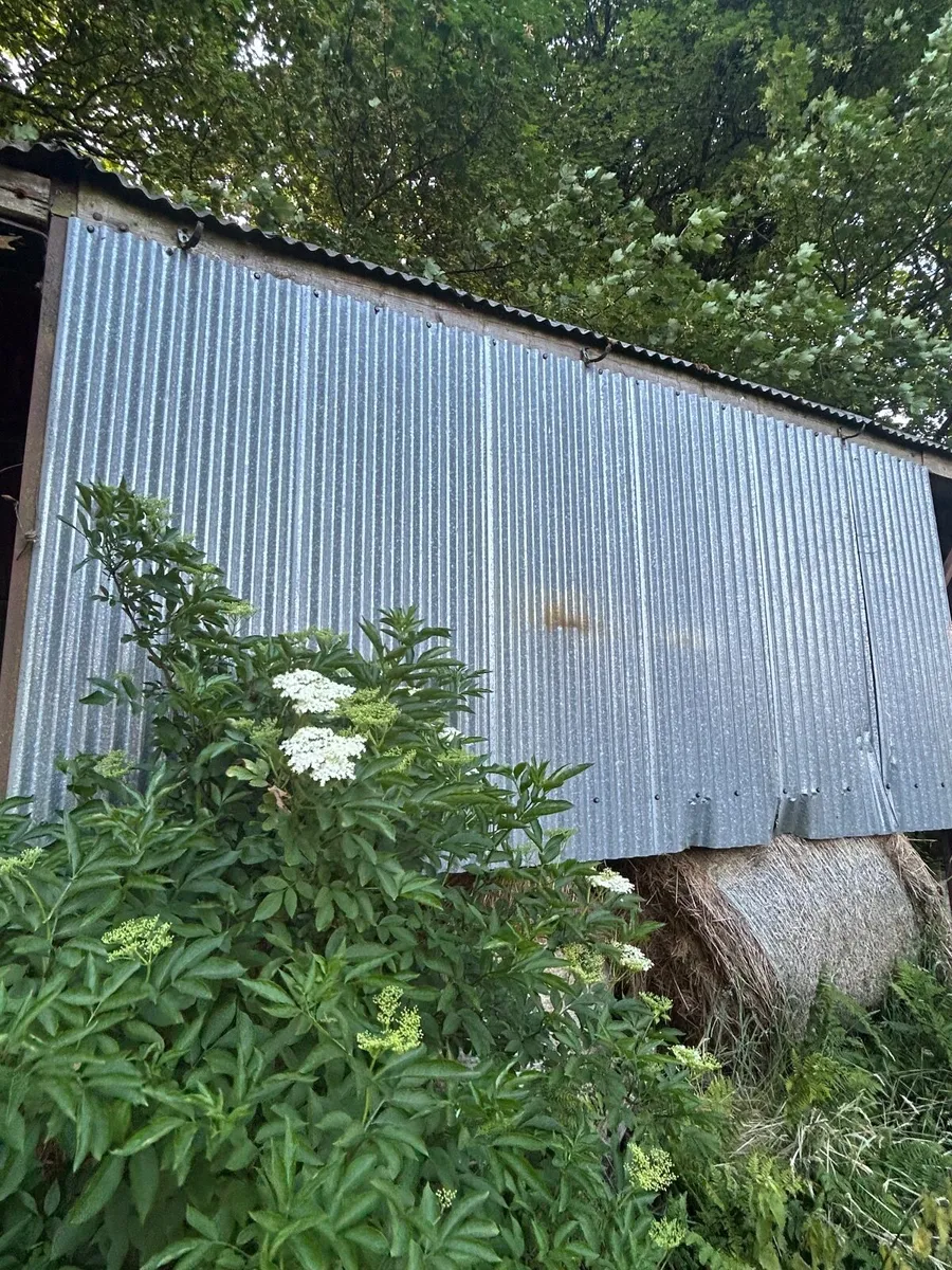Hay Shed - Image 3