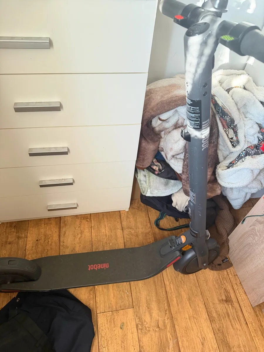 Electric Scooter - Image 2