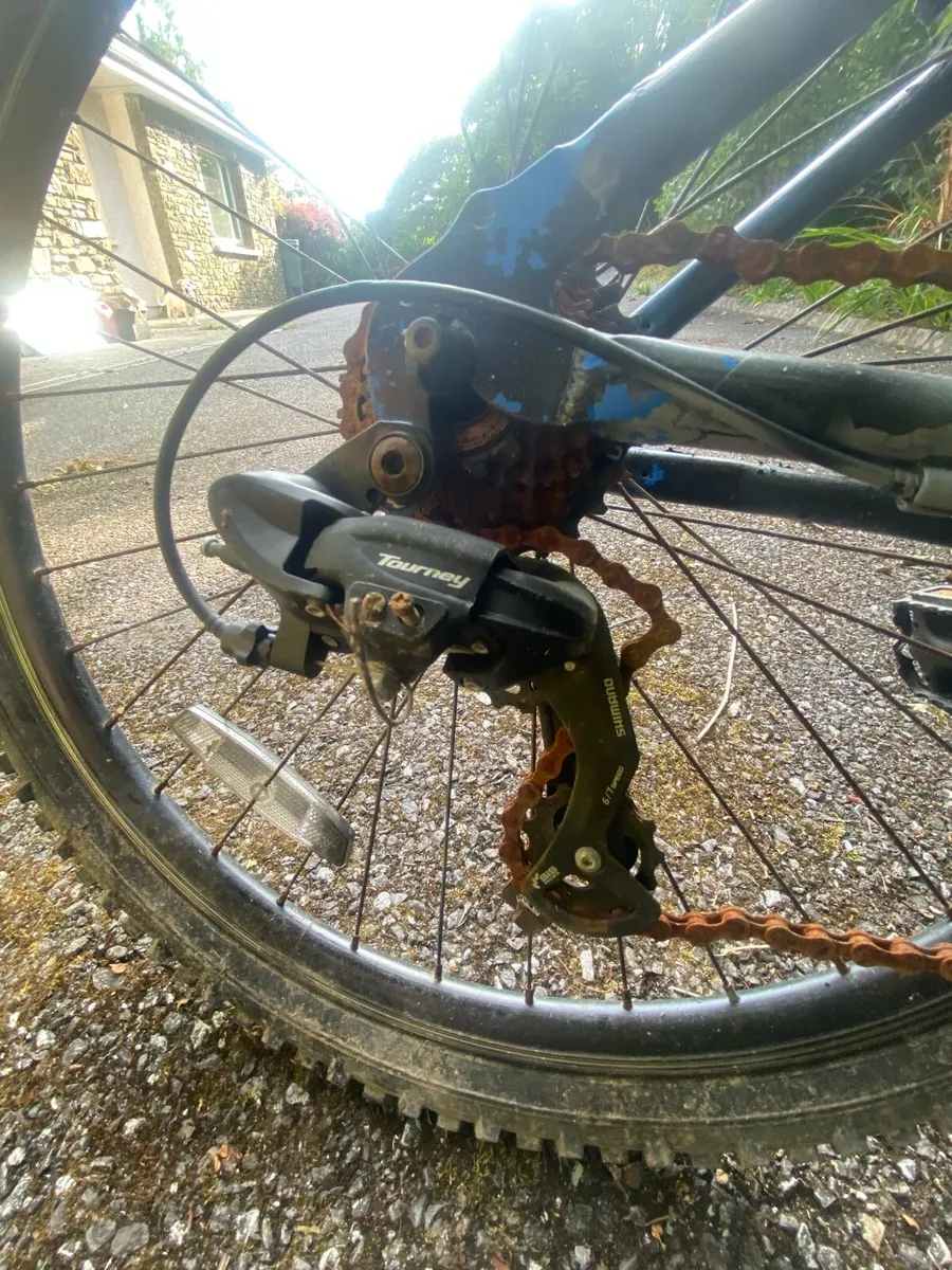 Bike - Image 2