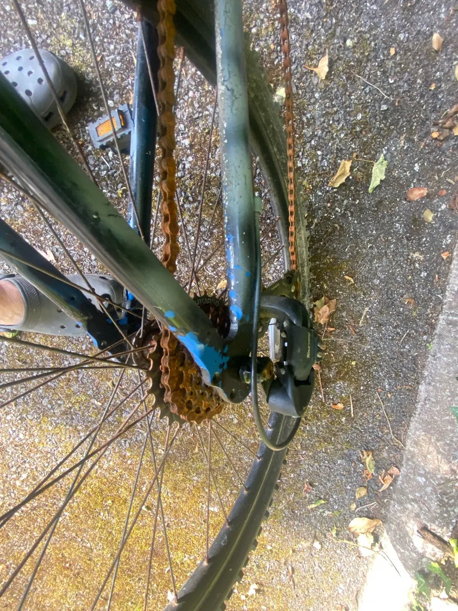 Bike - Image 3