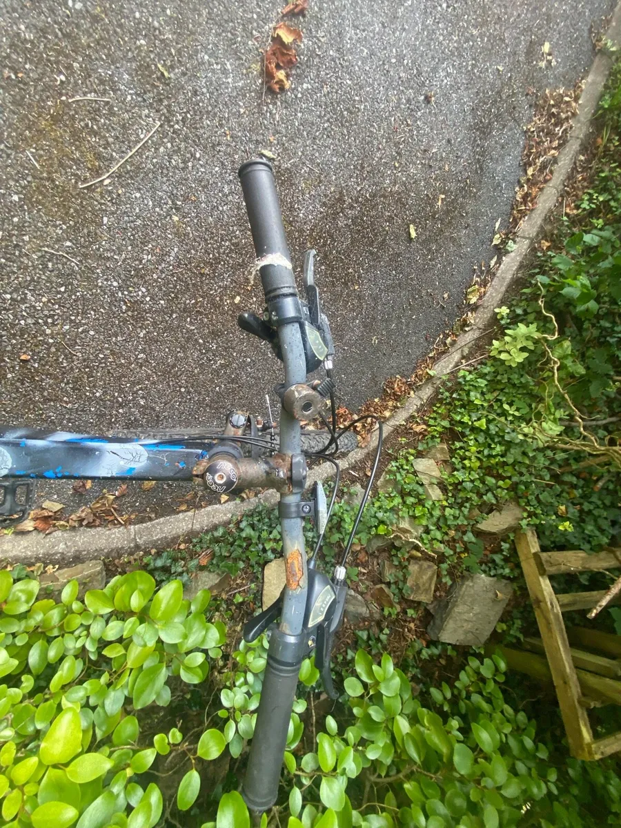 Bike - Image 4