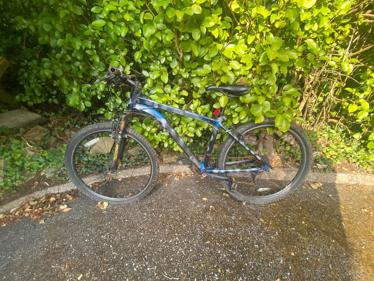 Bike - Image 1