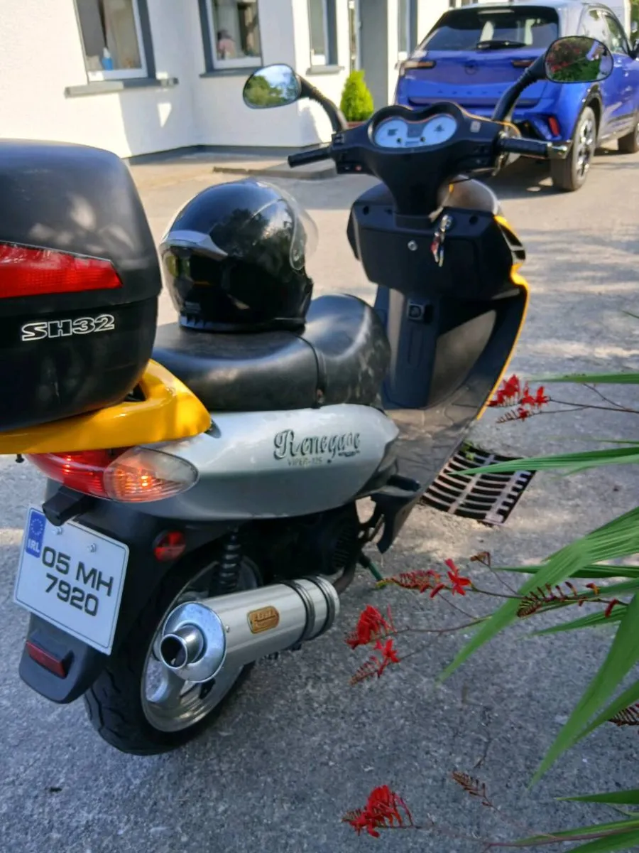 Renaged bike - Image 4