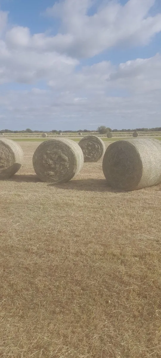 Round Bales of Callow Hay - Image 1