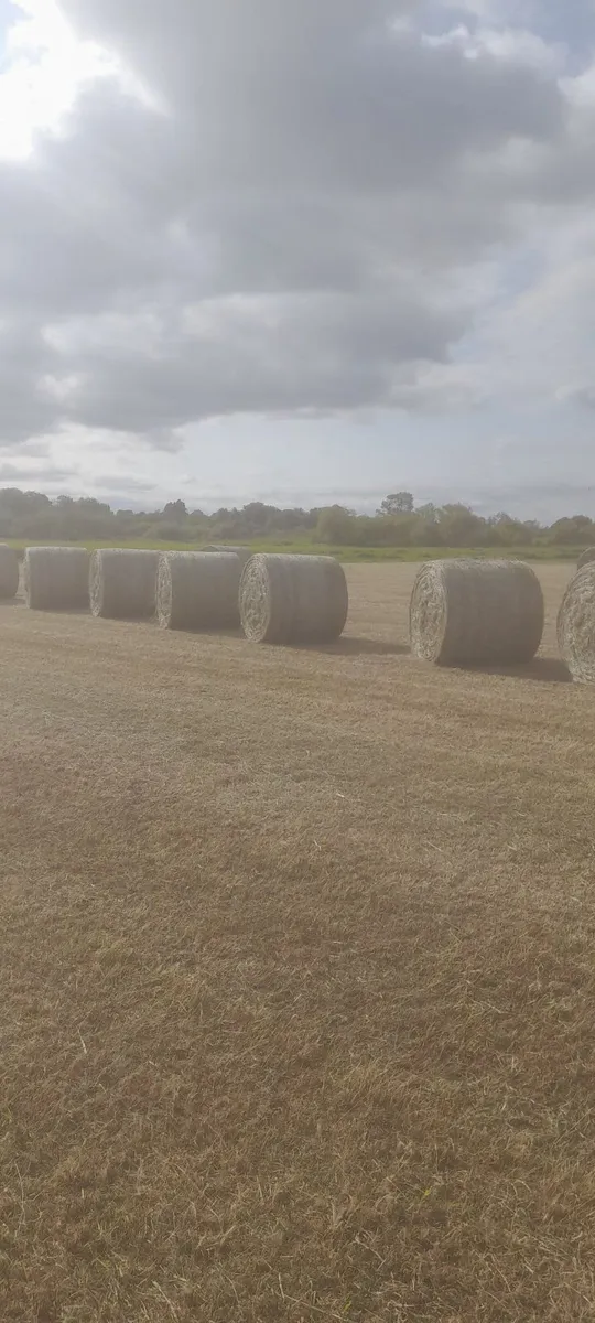Round Bales of Callow Hay - Image 4