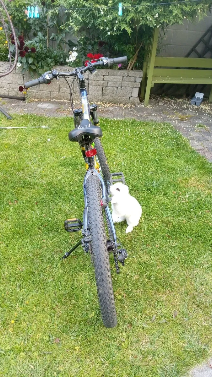 Apollo Evade 26" Mountain Bike – Like New – €200 - Image 4