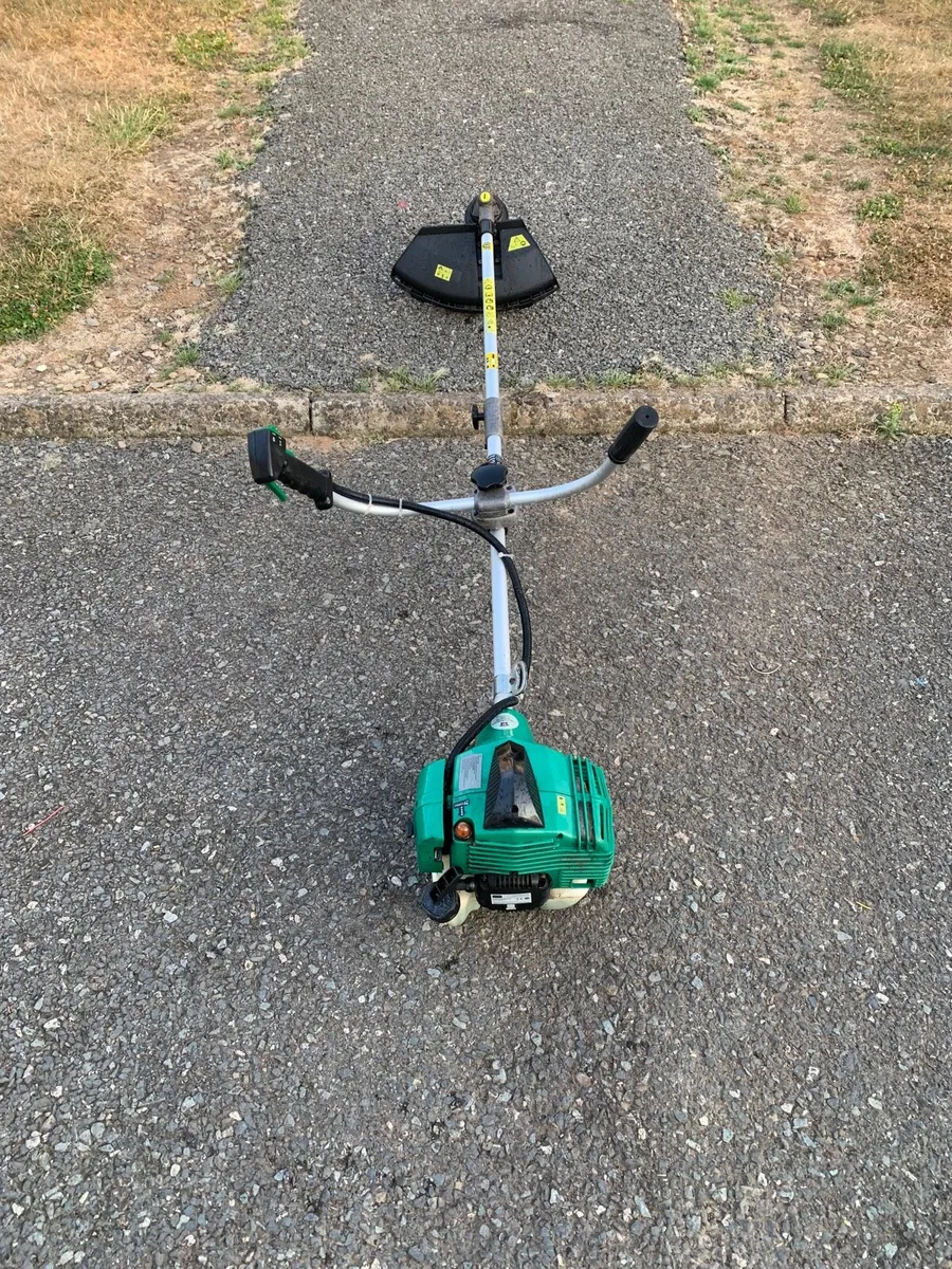 Strimmer - Image 1
