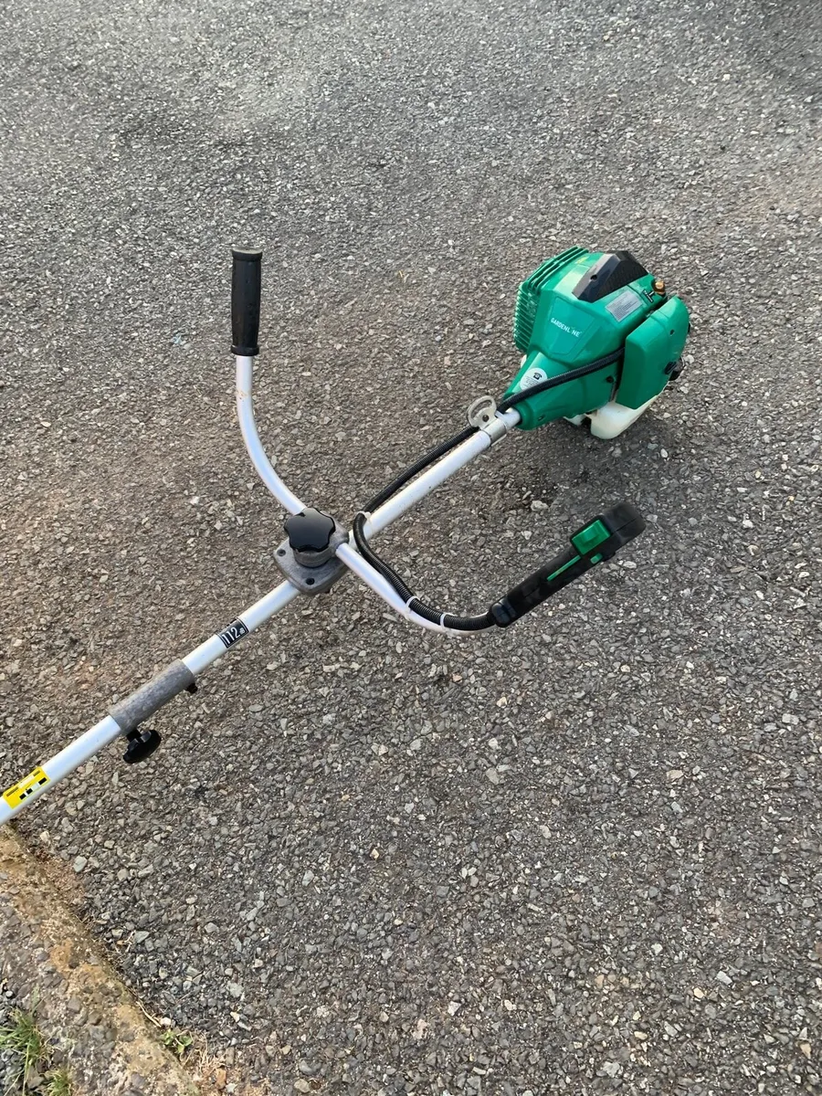 Strimmer - Image 3