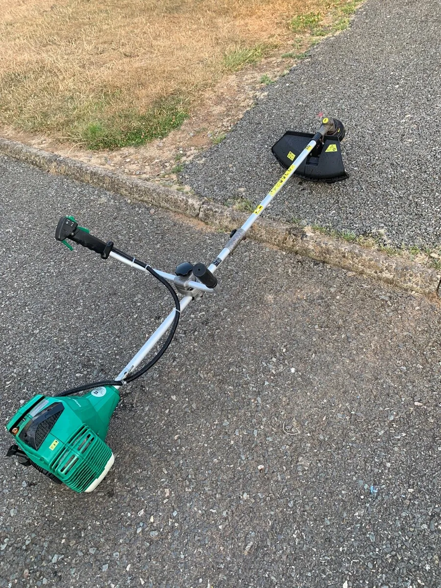 Strimmer - Image 4