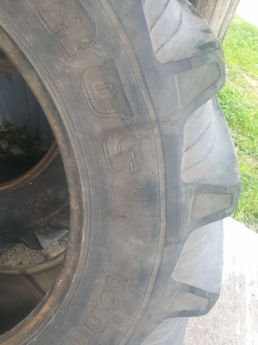 16.9 R34 Tarus Tractor Tyre - Image 4