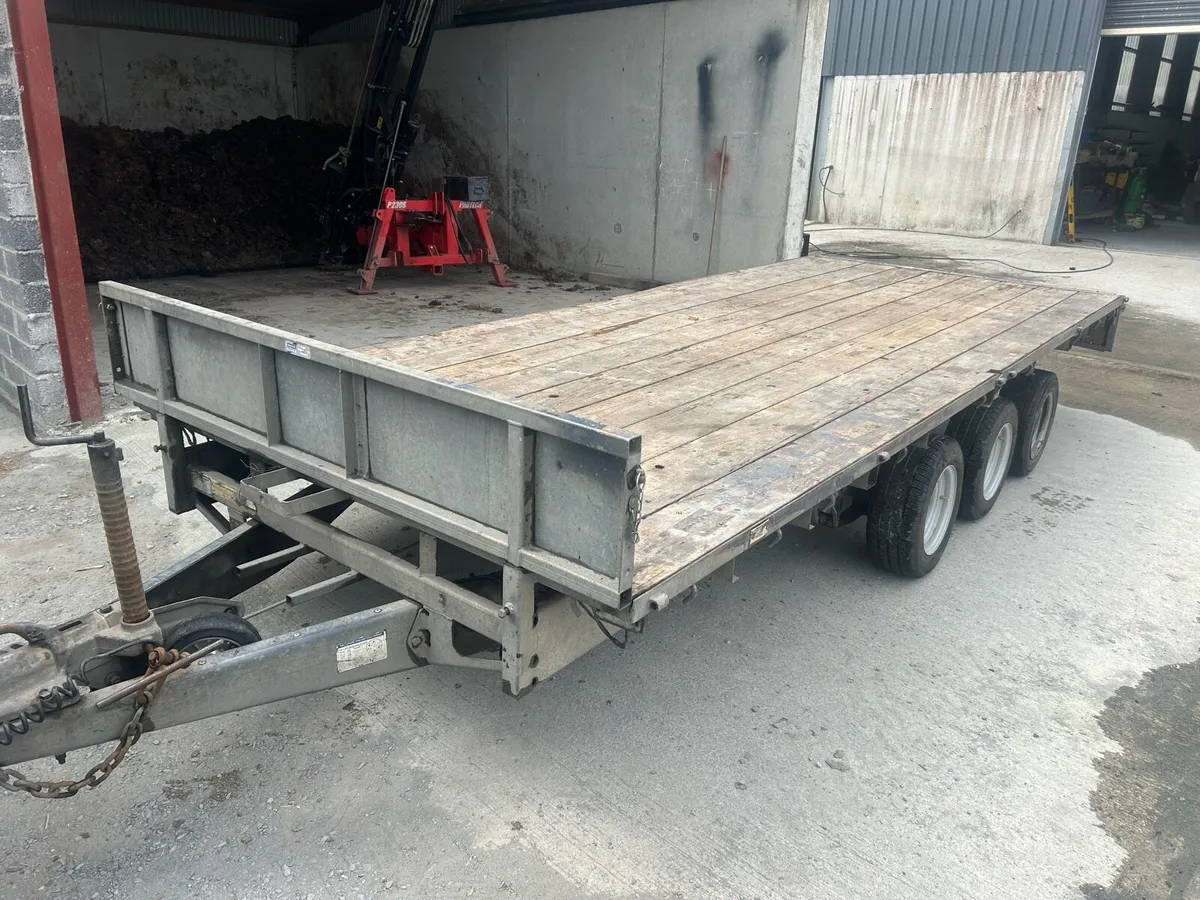 16 foot Ivor Williams - Image 1