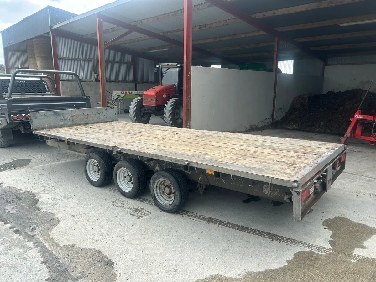 16 foot Ivor Williams - Image 2