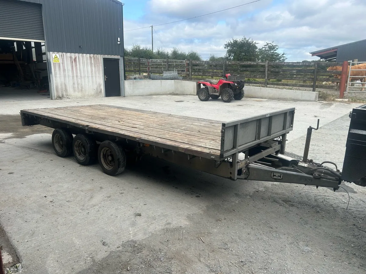 16 foot Ivor Williams - Image 3