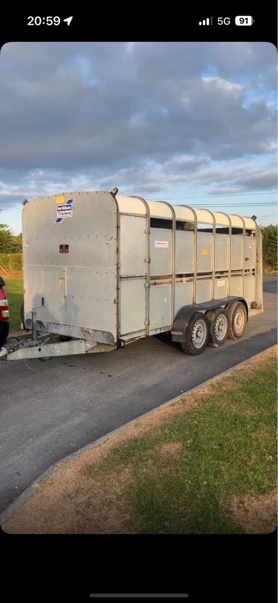 Iforwilliams cattle trailer - Image 1
